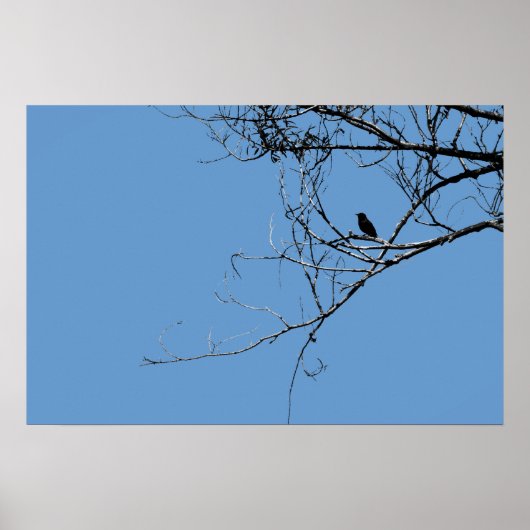 Kleine zwarte Poster (Voorkant)