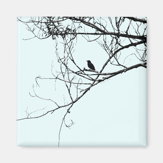 Kleine Zwarte Vogelmagneet Magneet (Voorkant)