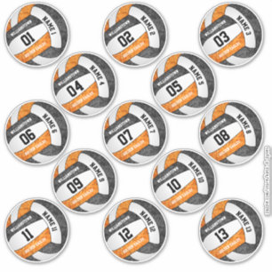 kleine zwarte volleybalspeler met 13 zwarte volley sticker