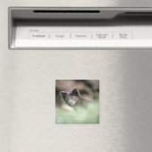 Kleine zwarte wolf magneet (Insitu (Vaatwasser))