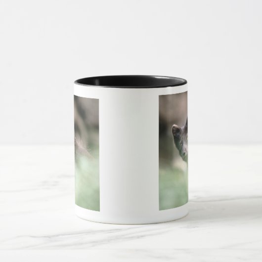 Kleine zwarte wolf mok (Midden)