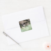Kleine zwarte wolf vierkante sticker (Envelop)