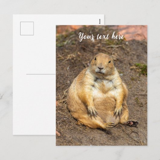 kleine zwartstaartprairiehond feestdagenkaart (Voorkant / Achterkant)