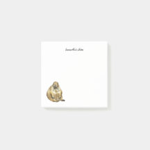 Kleine zwartstaartprairiehond notities