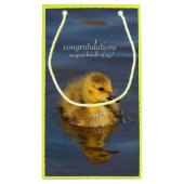 Kleine zwemmer: Canada Goose Gosling Klein Cadeauzakje (Achterkant)