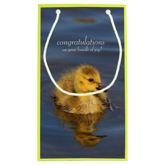 Kleine zwemmer: Canada Goose Gosling Klein Cadeauzakje (Achterkant)