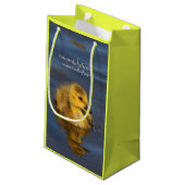 Kleine zwemmer: Canada Goose Gosling Klein Cadeauzakje (Achterkant Gekanteld)