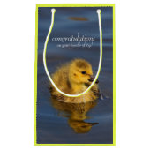 Kleine zwemmer: Canada Goose Gosling Klein Cadeauzakje (Voorkant)