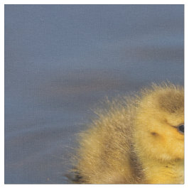 Kleine zwemmer: Canada Goose Gosling Stof