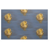 Kleine zwemmer: Canada Goose Gosling Stof (Fat Quarter)