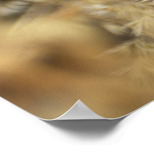 Kleiner Feuerfalter Poster (Hoek)