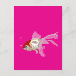 Kleiner Goldfisch -  Briefkaart