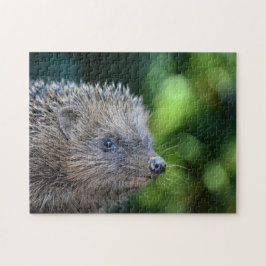 Kleiner Igel Legpuzzel