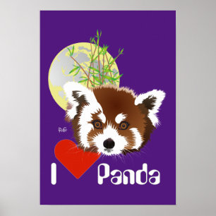 Kleiner Panda (Ailurus fulgens) Poster