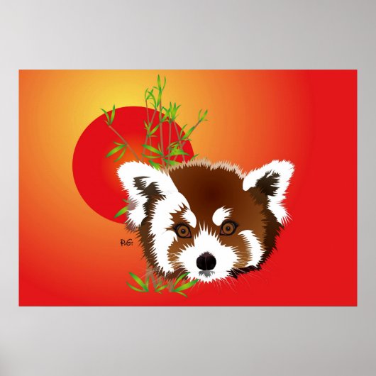 Kleiner Panda (Ailurus fulgens) Poster (Voorkant)