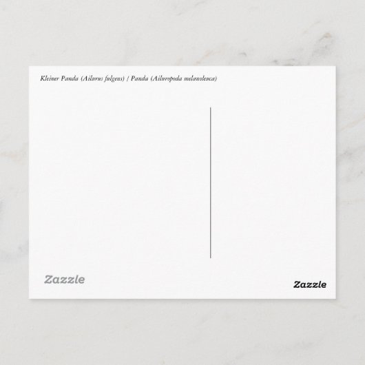 Kleiner Panda (Ailurus fulgens) Postkarte Briefkaart (Achterkant)