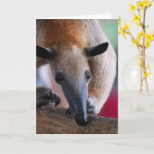 Kleiner Wenskaart van de Miereneter Kaart (Gele Bloem)