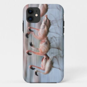 Kleinere flamingo's in beweging, Phoenicopterus Case-Mate iPhone Case