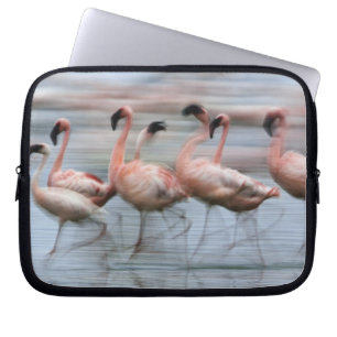 Kleinere Flamingo's in beweging, Phoenicopterus Laptop Sleeve