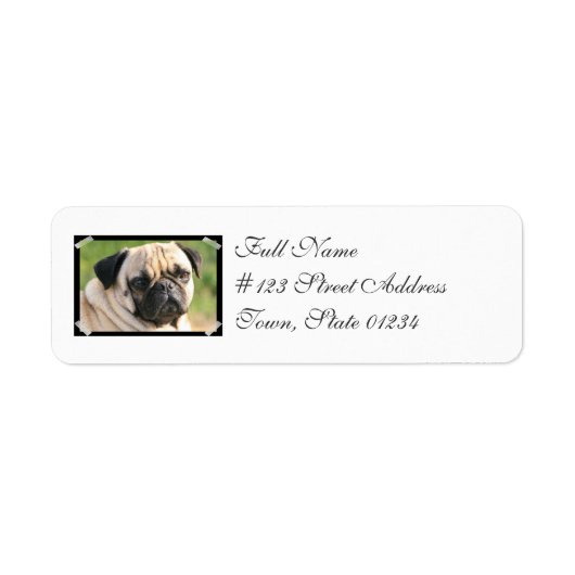 Kleinere pug-maillabels etiket (Voorkant)
