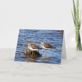 Kleinere Yellowlegs Photo Note Kaart