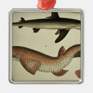 Kleinere zeehonden metalen ornament
