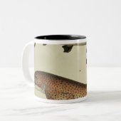 Kleinere zeehonden tweekleurige koffiemok (Voorkant links)