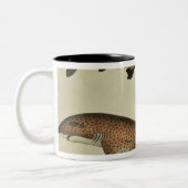 Kleinere zeehonden tweekleurige koffiemok (Links)