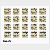 Kleinere zeehonden vierkante sticker (Vel)
