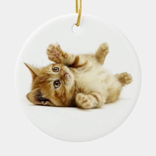 KLEINKAT KERAMISCH ORNAMENT (Voorkant)