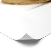 KLEINKAT POSTER (Hoek)