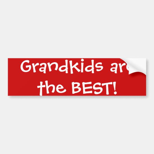 Kleinkinderen zijn het beste! bumpersticker (Voorkant)