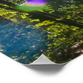 Kleinkleurige bladeren van Carpe Diem Poster (Hoek)