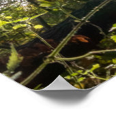 Kleinkleurige bladeren van Carpe Diem Poster (Hoek)