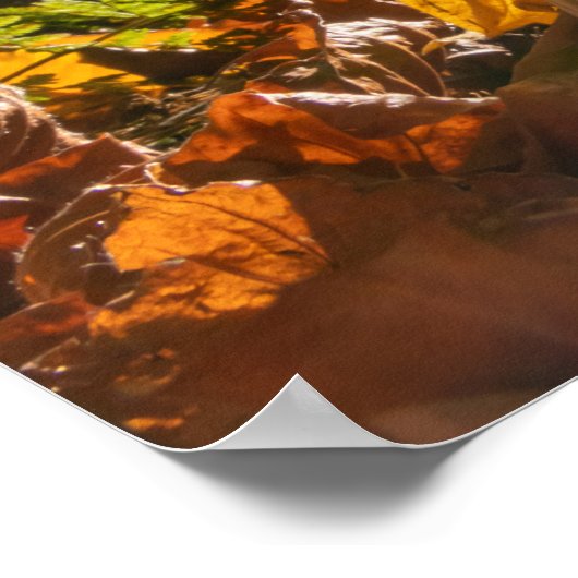 Kleinkleurige bladeren van Carpe Diem Poster (Hoek)