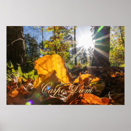 Kleinkleurige bladeren van Carpe Diem Poster