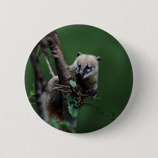 Kleinrascals coati - lemur ronde button 5,7 cm (Voorkant)