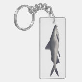 kleintandmeerval sleutelhanger (Voorkant Links)