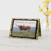 Kleinzonen zijn Special-customize-any gelegenheid Kaart (Gele Bloem)