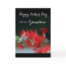 Kleinzoon / Happy Vaderdag - Scarlet Honeyeater