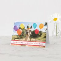 Kleinzoon Schattig en Leuk Lama met Feesthoed