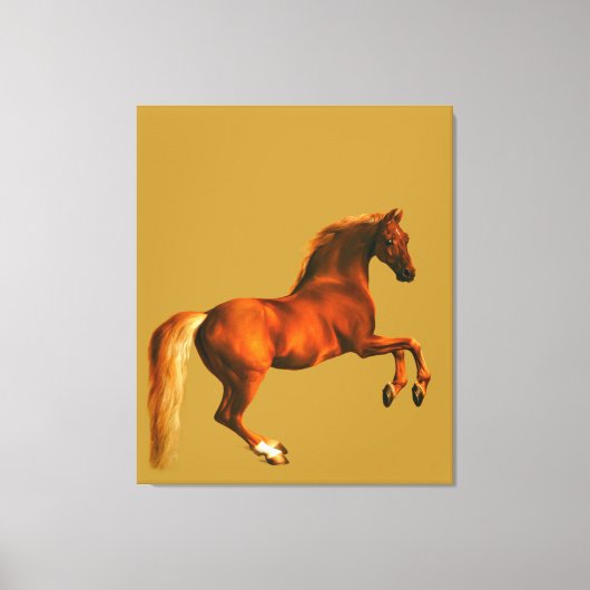 Kleinzoon van de Godolphin Arabian Canvas Afdruk (Voorkant)