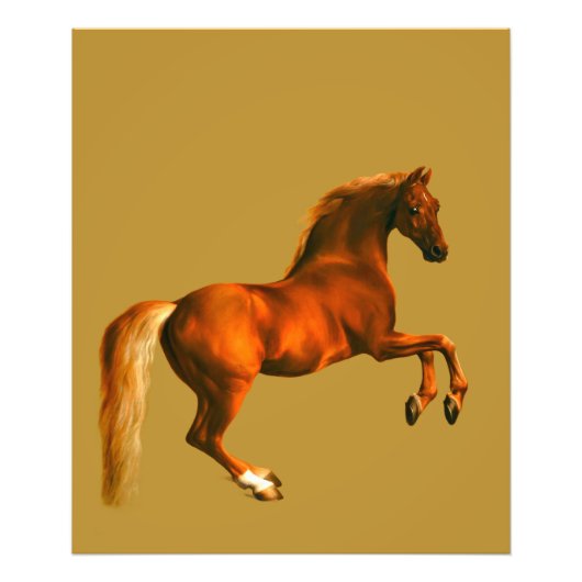 Kleinzoon van de Godolphin Arabian Foto Afdruk (Voorkant)