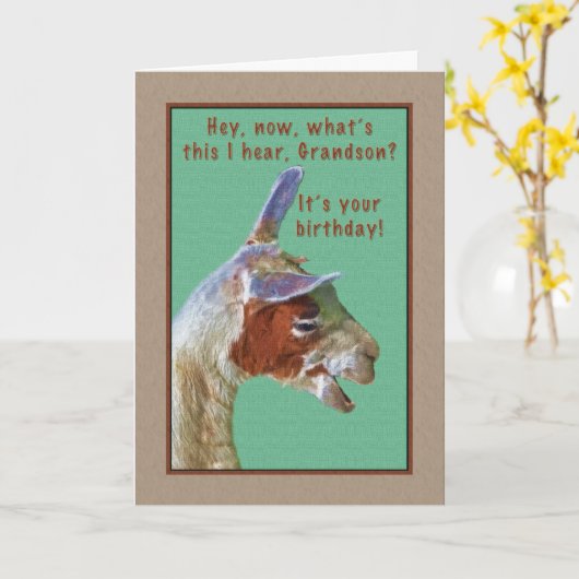 Kleinzoon, Verjaardag, Lachende Llama Kaart (Gele Bloem)