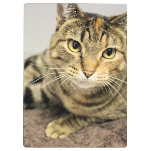 Klembord (Achterkant)