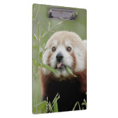 Klembord Foto rode panda, dieren. (Rechts)