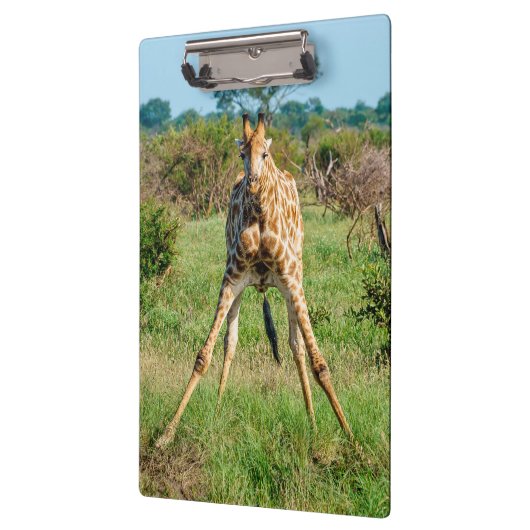 Klembord Giraffe (Links)