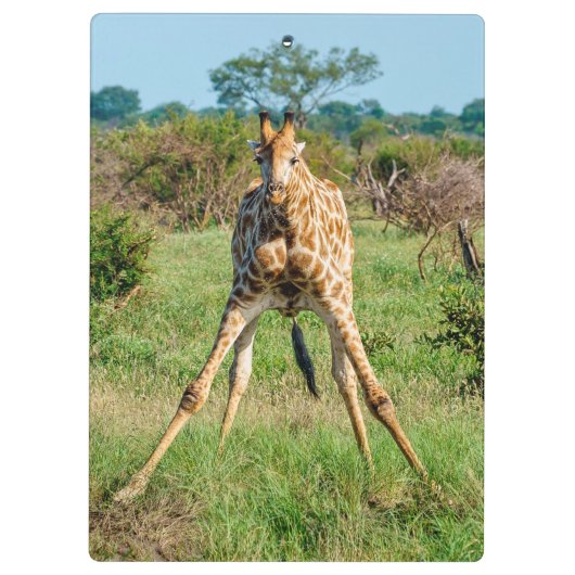 Klembord Giraffe (Achterkant)