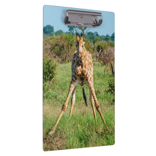 Klembord Giraffe (Rechts)