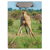 Klembord Giraffe (Voorkant)